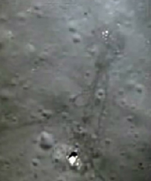 Apollo15_ascentphoto.jpg
