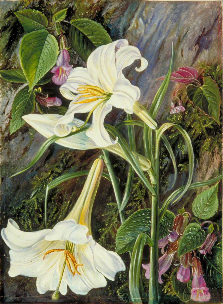 Two white trumpet shaped lilies and a bud, same painting style, with a background of other foliage and small flowers