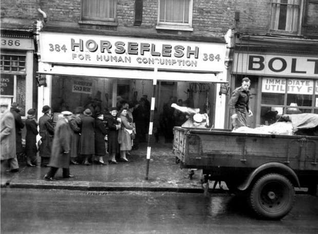 brixton-horsemeat.jpg