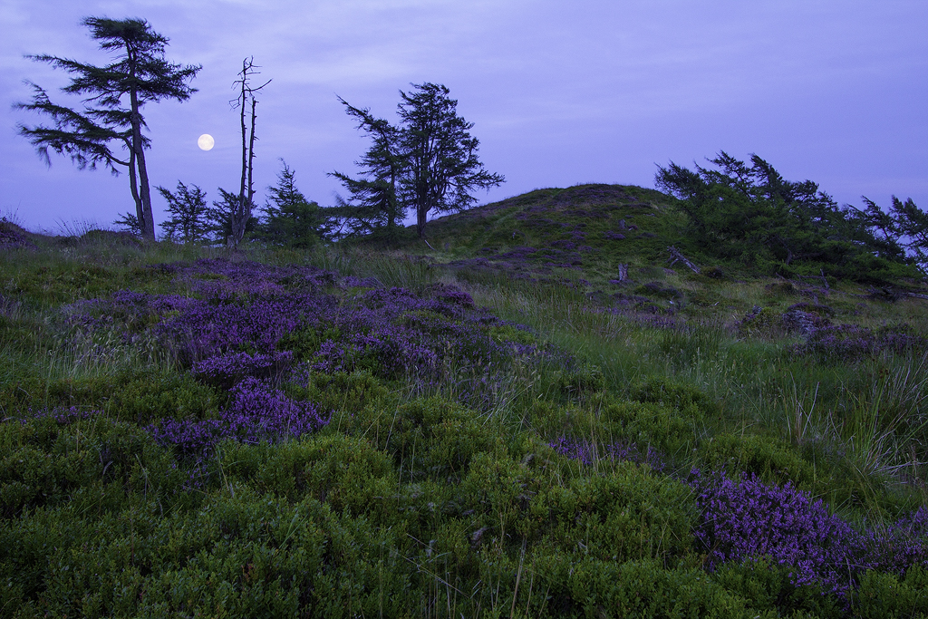 summer_moonrise__auchterhouse_hill_by_greg_mckinnon-d6iy10z.jpg