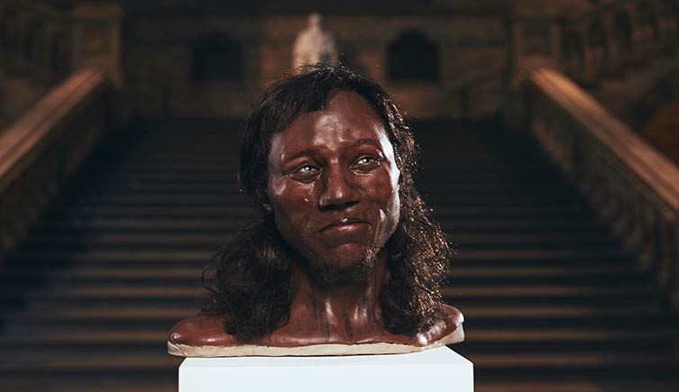 cheddar-man-two-column.jpg.thumb.768.768.jpg