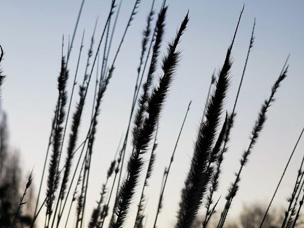 In photos: a winter walk around Brockwell park, south London, 19th Jan 2020