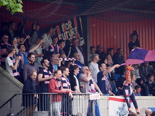 hampton-richmond-dulwich-hamlet-30.jpg