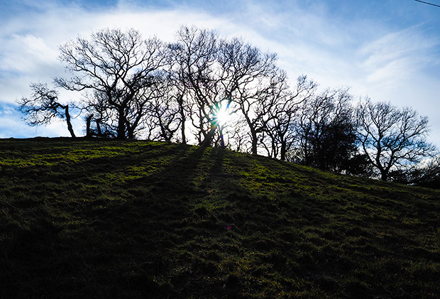 wintry-welsh-walk-cardiff-09.jpg