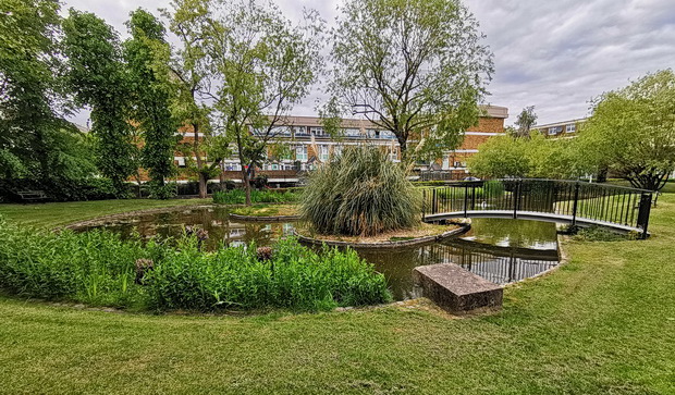 In photos: Stockwell's secret duck pond in the middle of a council estate, south London