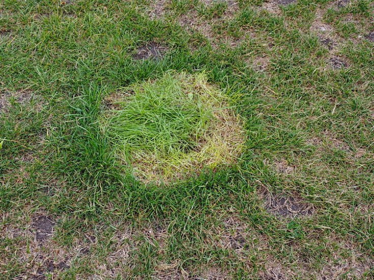 The crop circles of Brockwell Park (after the funfair has gone) - series of attract photos