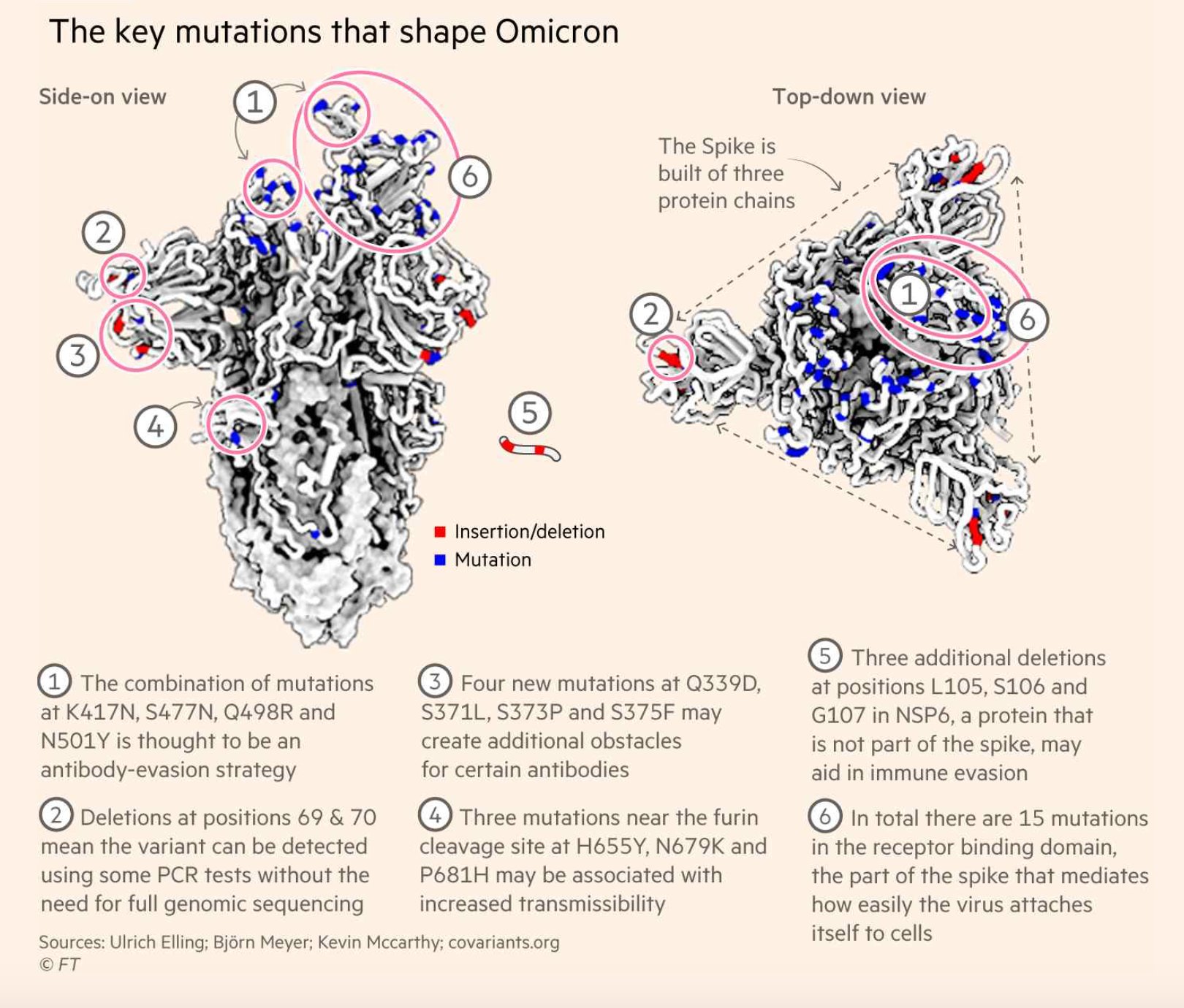 Some key mutations of the omicron VOC.