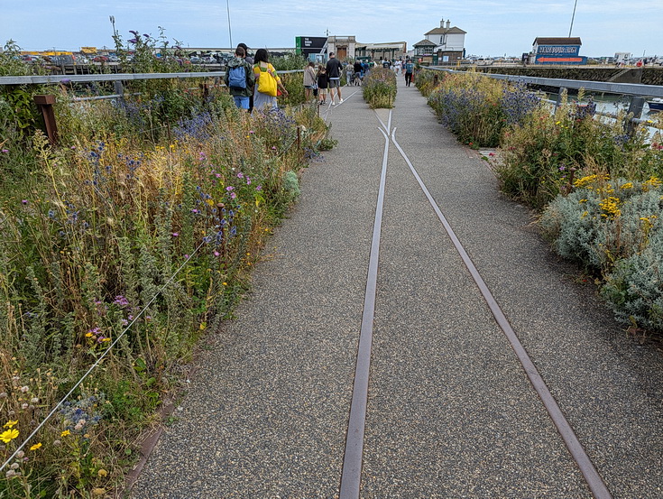 Return to Folkestone Harbour disused railway station - thirty photos