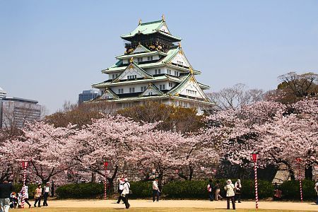 sakura_090406_osaka_01.jpg