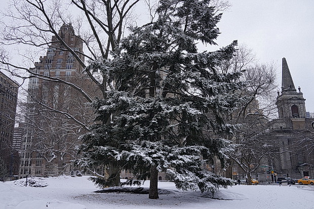 central-park-nyc-snow-41.jpg