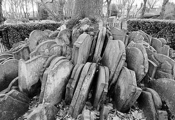 hardy-tree-st-pancras-churchyard-1.jpg