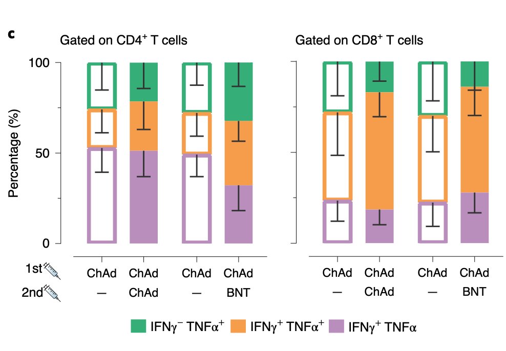 Heterologous ChAd/BNT vaccination induces stronger anti-SARS-CoV-2 spike T cell responses versus homologous ChAd/ChAd vaccination.