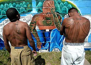 20060331-honduras-gangs.jpg