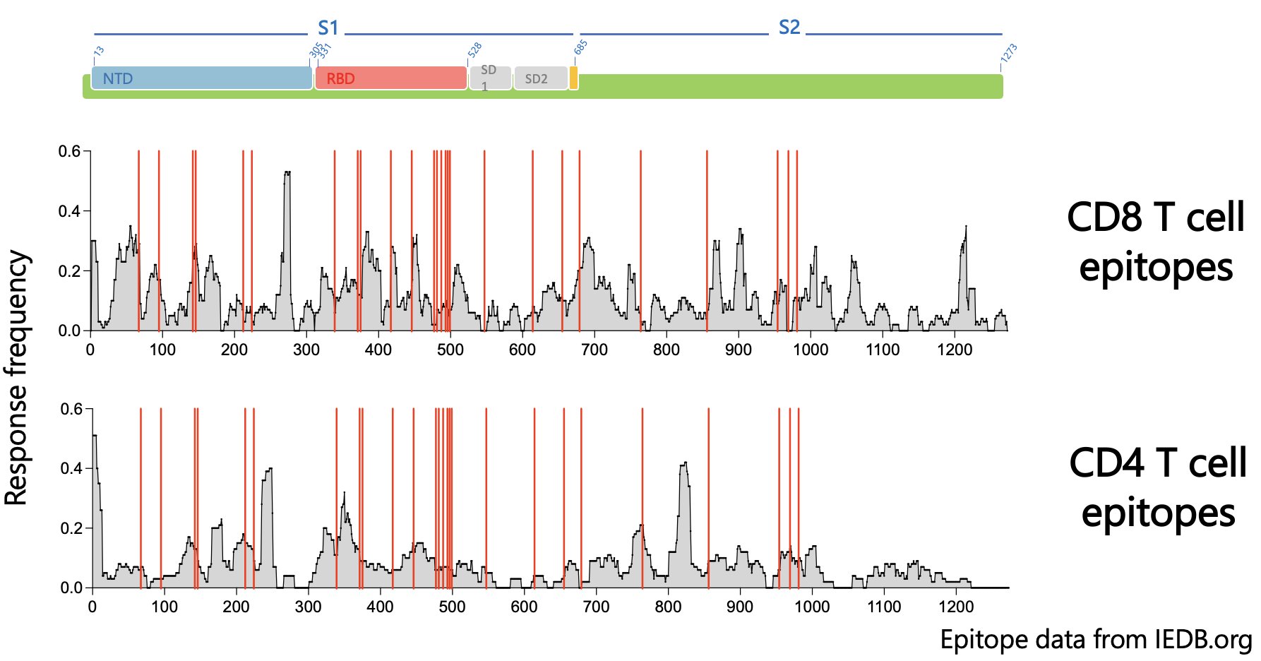 Map of CD4 and CD8 epitopes across the SARS-CoV-2 spike protein. Red lines indicate locations of omicron/B.1.1.529 amino acid changes (relative to WT).