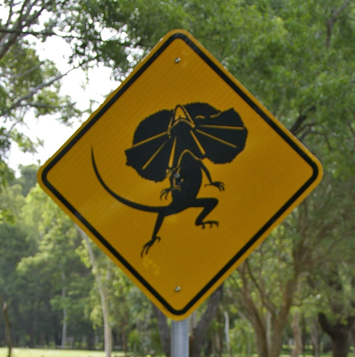 Frill-neck_lizard_road_sign.jpg