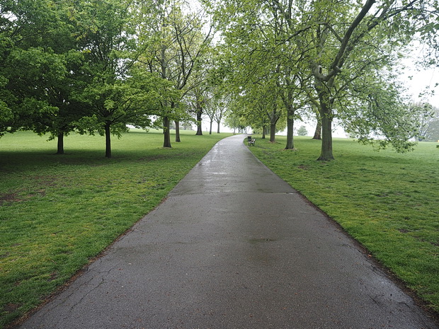 In photos: Brockwell park and the Walled Garden in the April rain