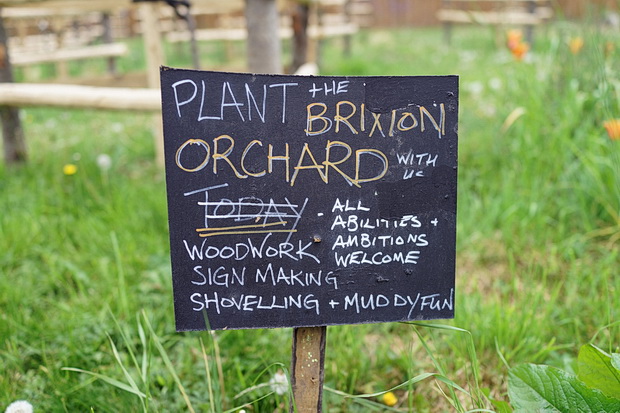 brixton-orchard-spring-01.jpg