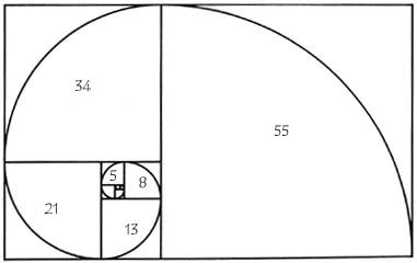 Fibonacci-spiral.jpg