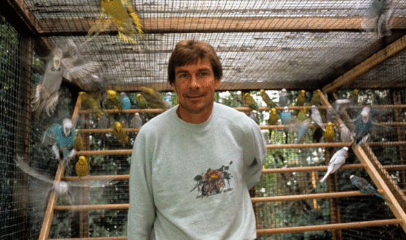 james-hunt-birds.gif-404139.jpg