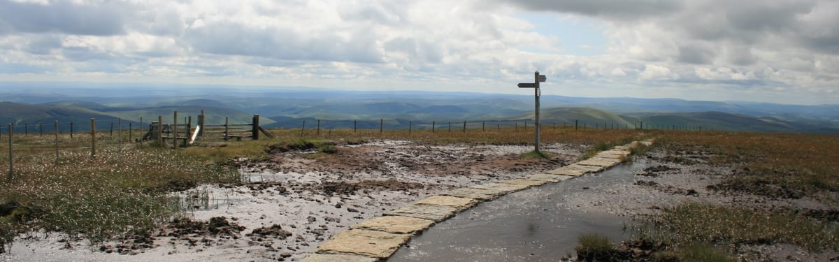 peat bog on the Pennine Way