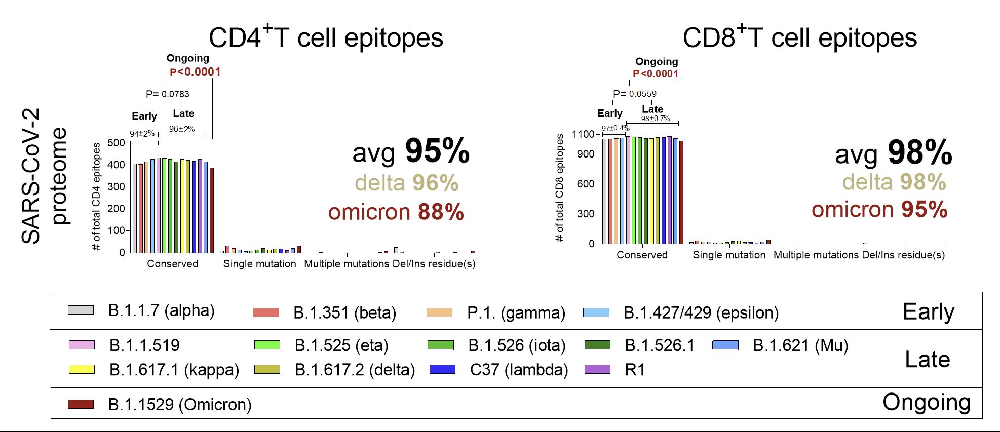 SARS-CoV-2 proteome: conserved CD4+ and CD8+ T cell epitopes across variants.