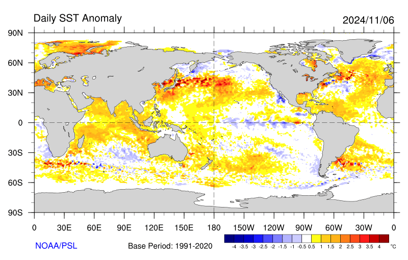 sst.daily.anom.gif