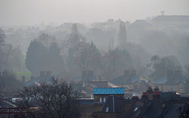 brockwell-park-mist-4.jpg