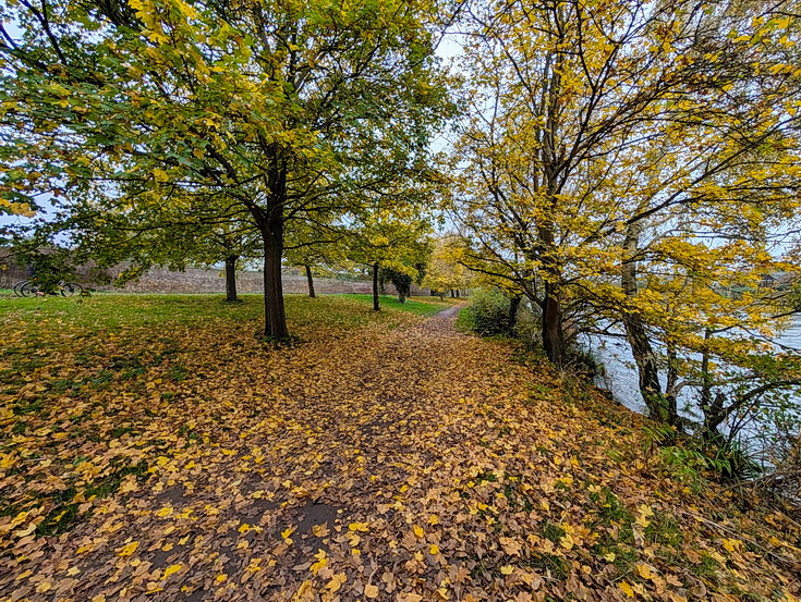 In photos: a wonderful autumnal walk from Hampton Court to Kingston alongside the River Thames