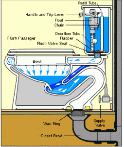 toilet-plumbing-diagram-255x300.gif