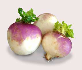 Turnip.jpg