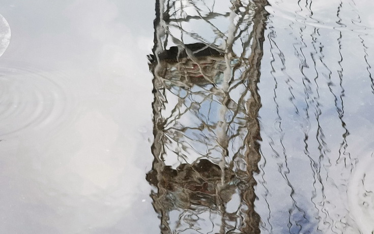 South Bank abstract - reflections, puddles and the London Eye