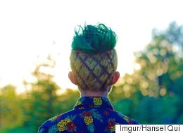 s-PINEAPPLE-HAIRSTYLE-large.jpg