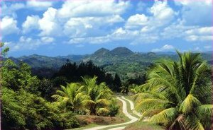 jamaican%20countryside.jpg