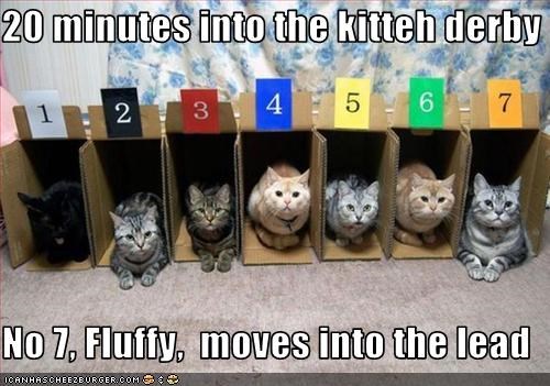 20-minutes-into-the-kitteh-derby-no-7-fluffy-moves-into-the-lead