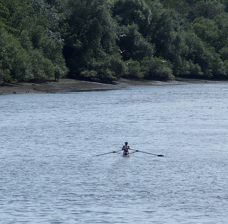 A beautiful London riverside walk: Kew Bridge to Richmond in 40 photos