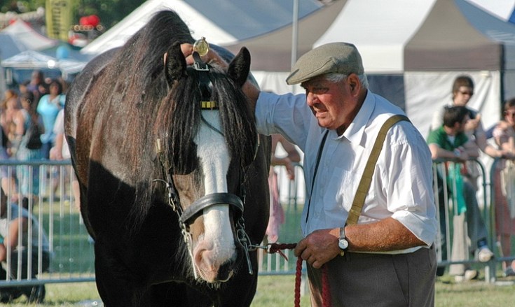 Lambeth Country Show 2005: vegetable sculptures, fighting knights, parachutists and log cutters - 34 archive photos