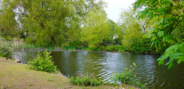 In photos: Sunray gardens, a small park with a lake in Herne Hill, London SE24