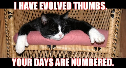 cat_evolved_thumbs.jpg