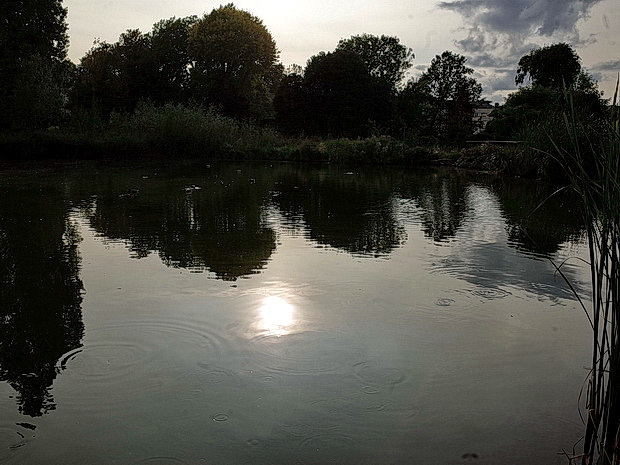 brockwell-park-summer-2017-32.jpg