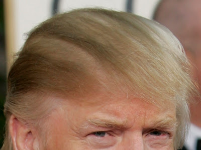 DonaldTrumpHair.jpg