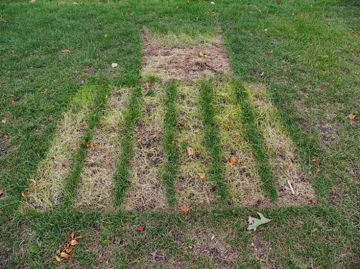 The crop circles of Brockwell Park (after the funfair has gone) - series of attract photos