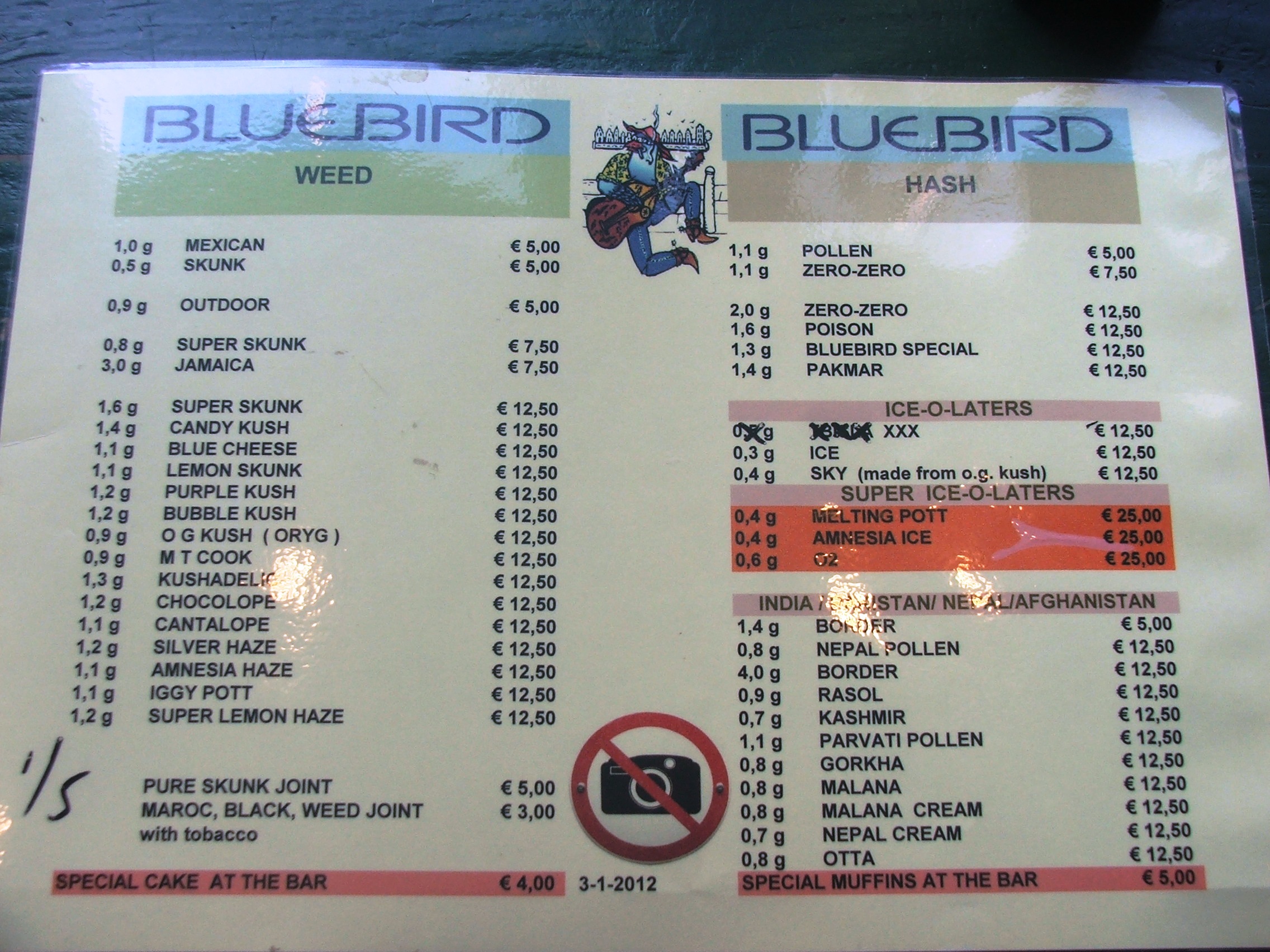 Bluebird02072012attxim.jpg