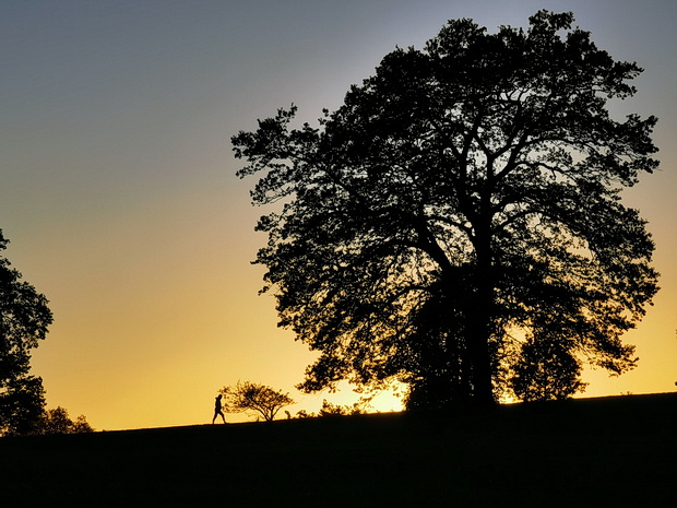 Photo feature: 40 photos of Brockwell park taken during May 2020