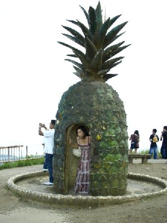 strange-pineapple.jpg