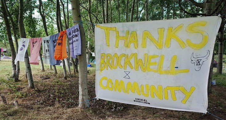 In photos: another look at the controversial Extinction Rebellion camp in Brockwell Park