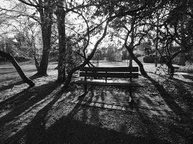 Empty park benches - Lambeth parks and the coronavirus, March 2020