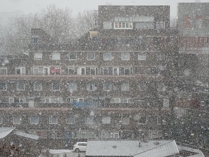 First snow of the winter arrives in Brixton! Sunday 24th Jan 2021