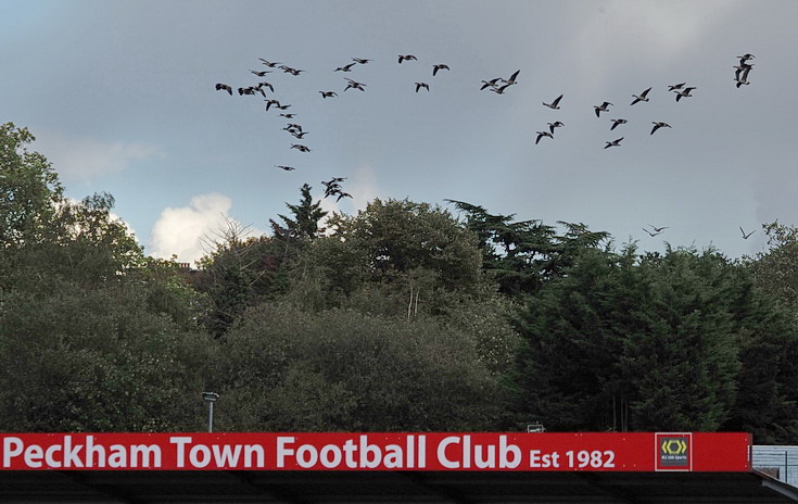 In photos: Peckham Town smash five goals past New Romney on a glorious Autumn afternoon, Sat 14th Oct 2023