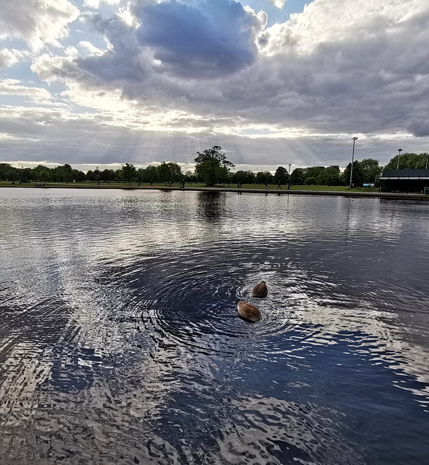 In photos: the green spaces, ponds and trees of Clapham Common