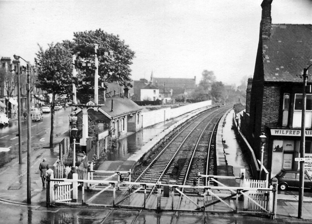 Botanic_Gardens_Railway_Station_Hull_1967.jpg